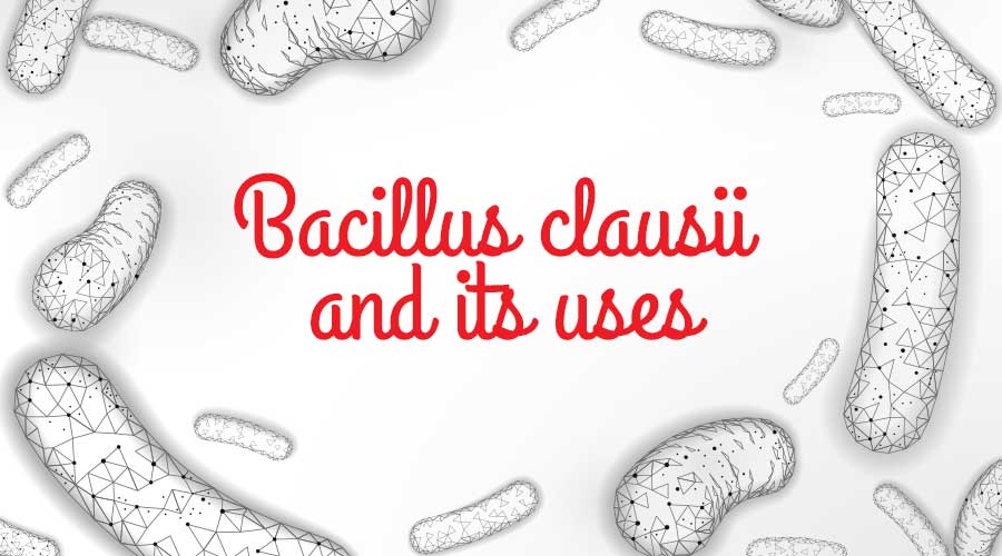Bacillus clausii And Its Uses